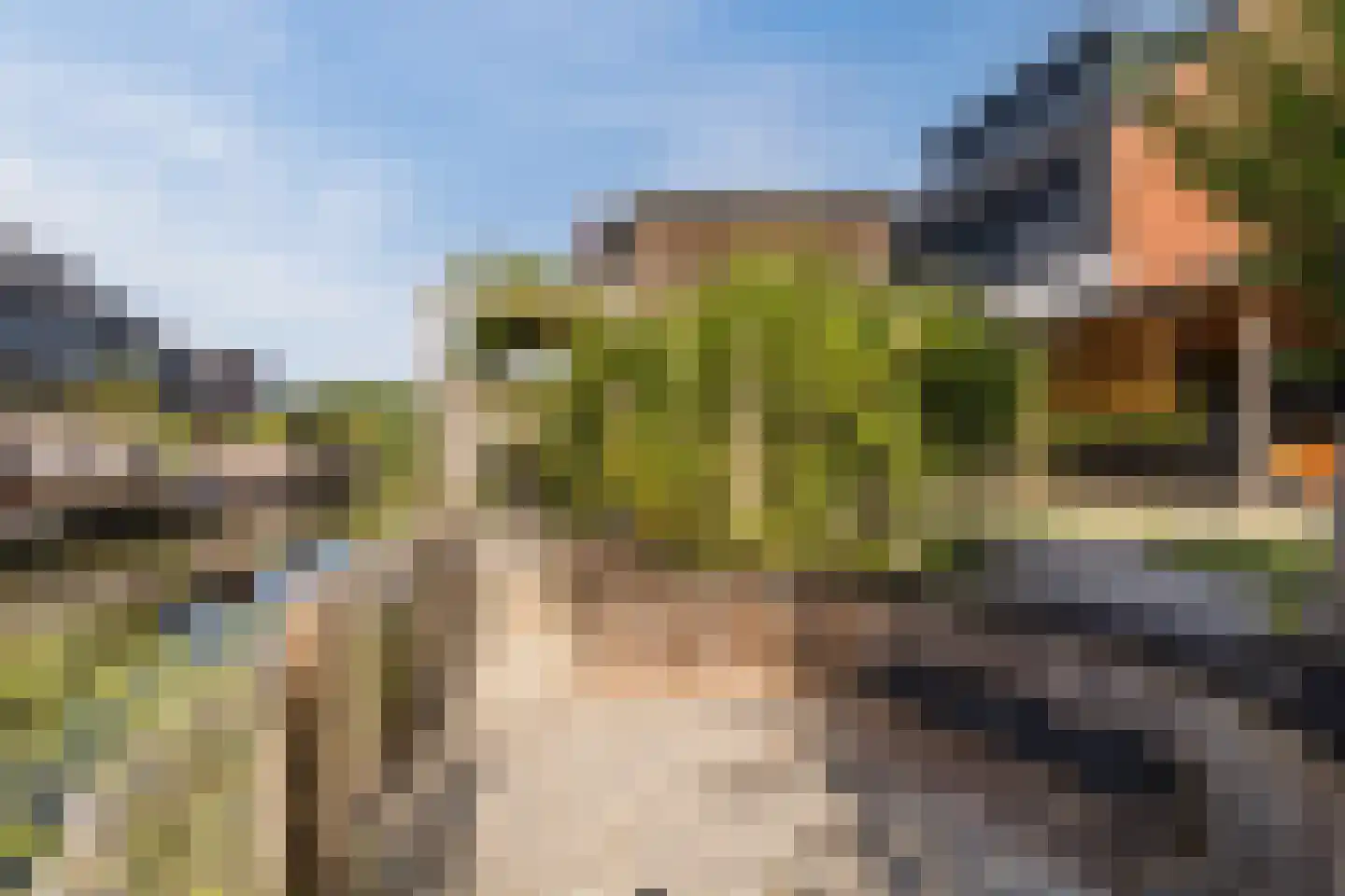 Brederodepeer 50 Boskoop thumbnail 50