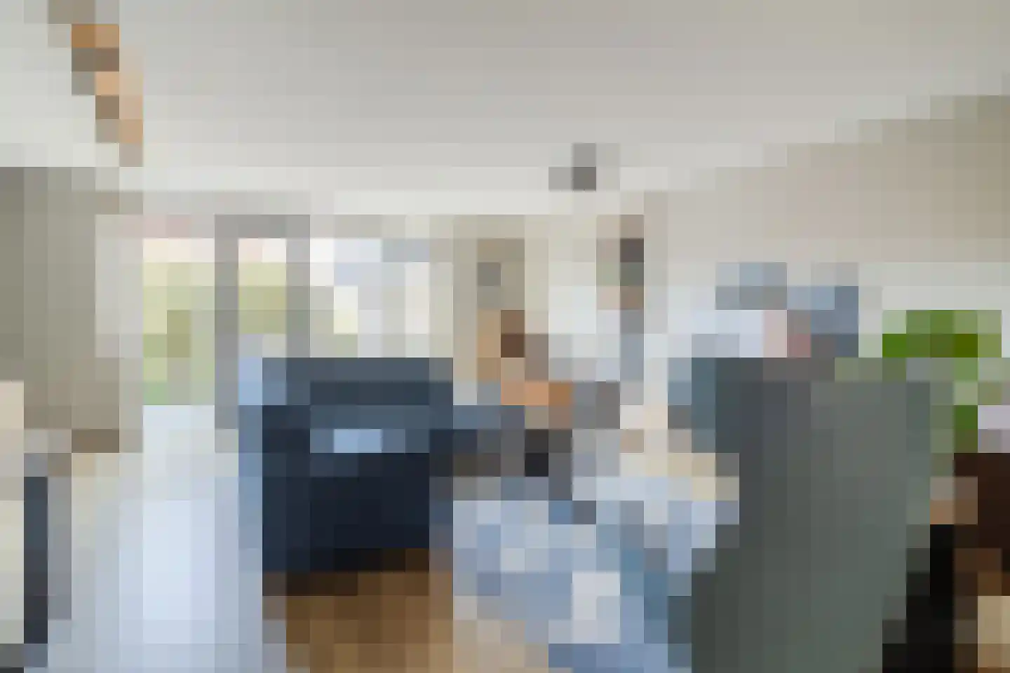 Brederodepeer 50 Boskoop thumbnail 8