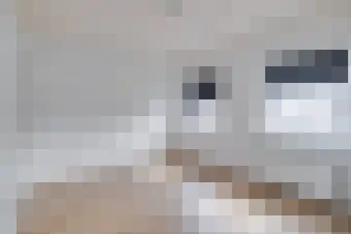 Brederodeplein 7 Vianen thumbnail 18