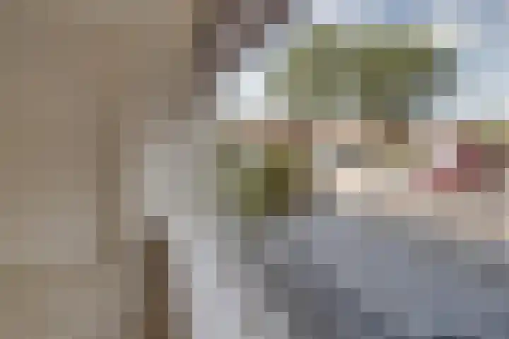 Brederodeplein 7 Vianen thumbnail 8