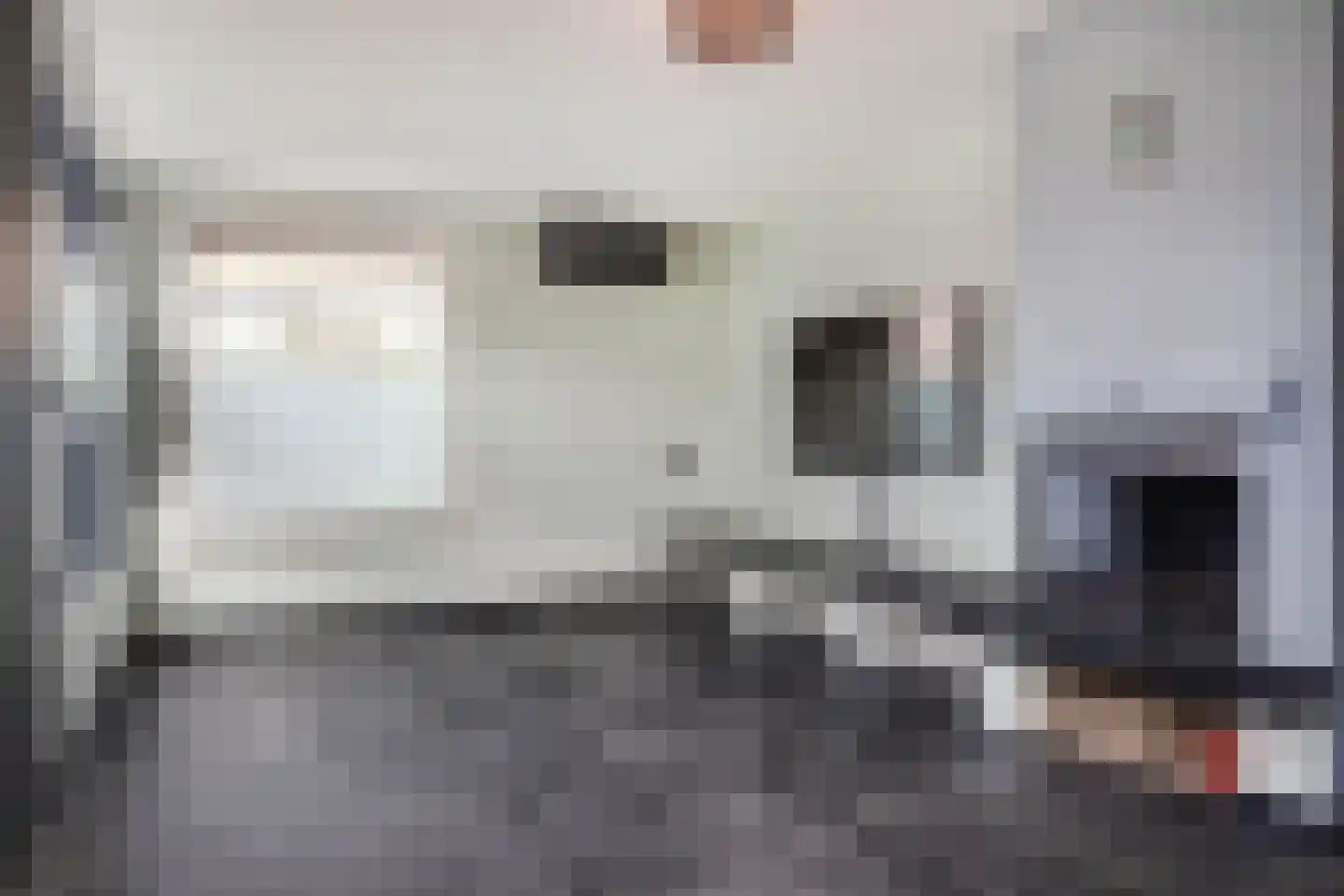 Brederodestraat 1 Elsloo thumbnail 15