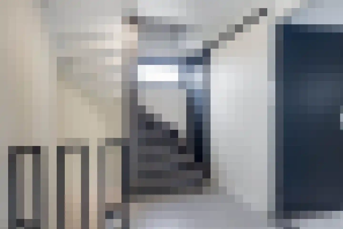Brederodestraat 1 Elsloo thumbnail 23