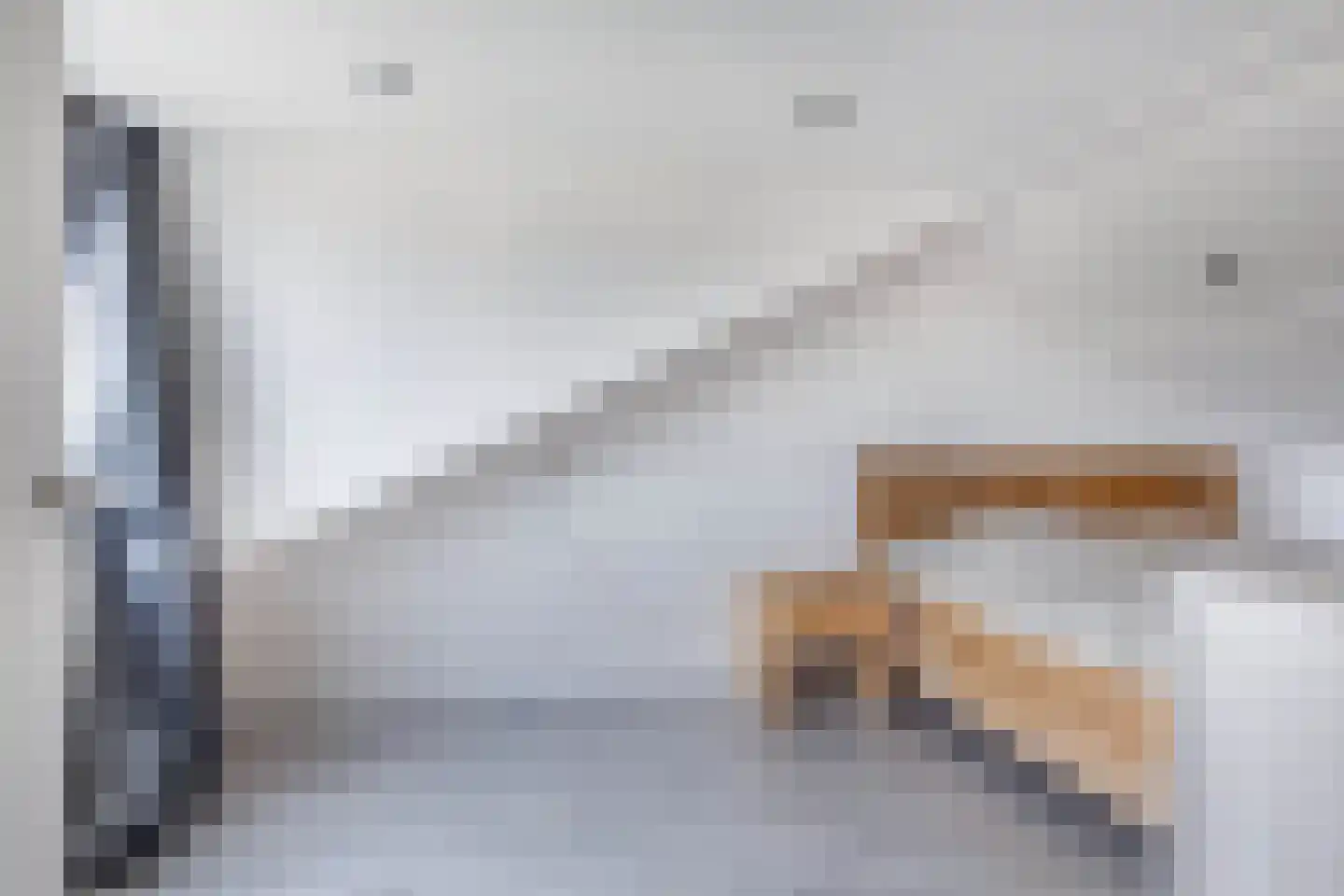 Brederodestraat 1 Elsloo thumbnail 37