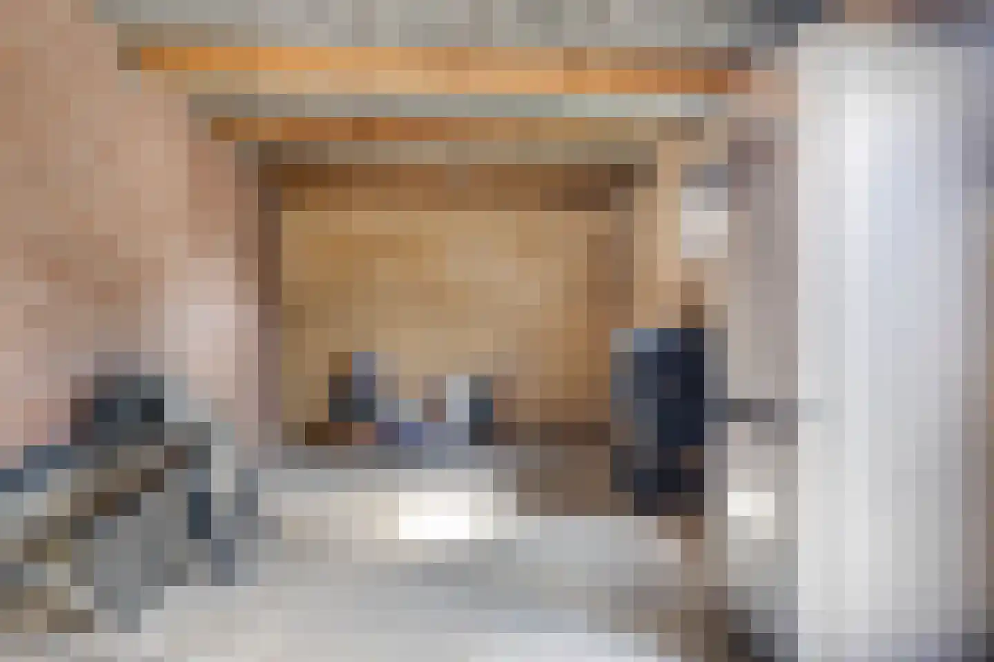 Brederodestraat 1 Elsloo thumbnail 42