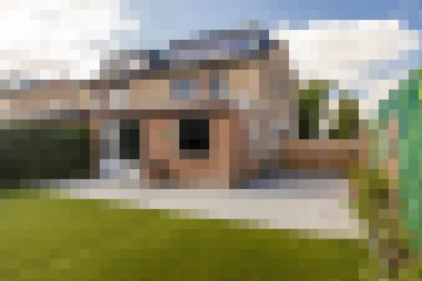 Brederodestraat 1 Elsloo thumbnail 47