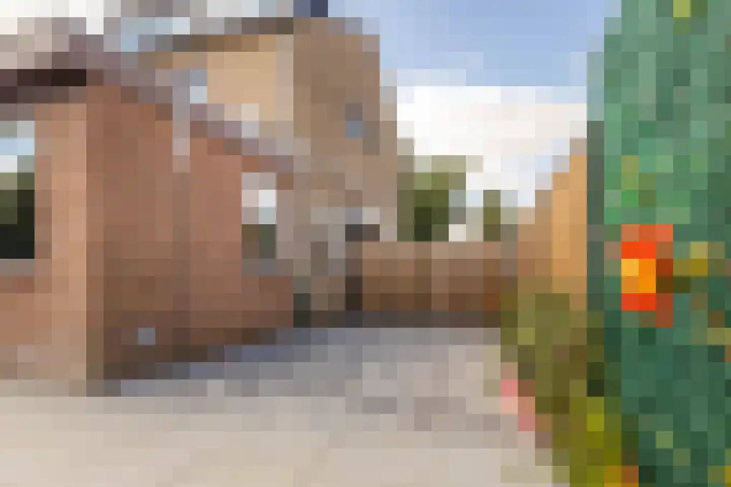Brederodestraat 1 Elsloo thumbnail 48