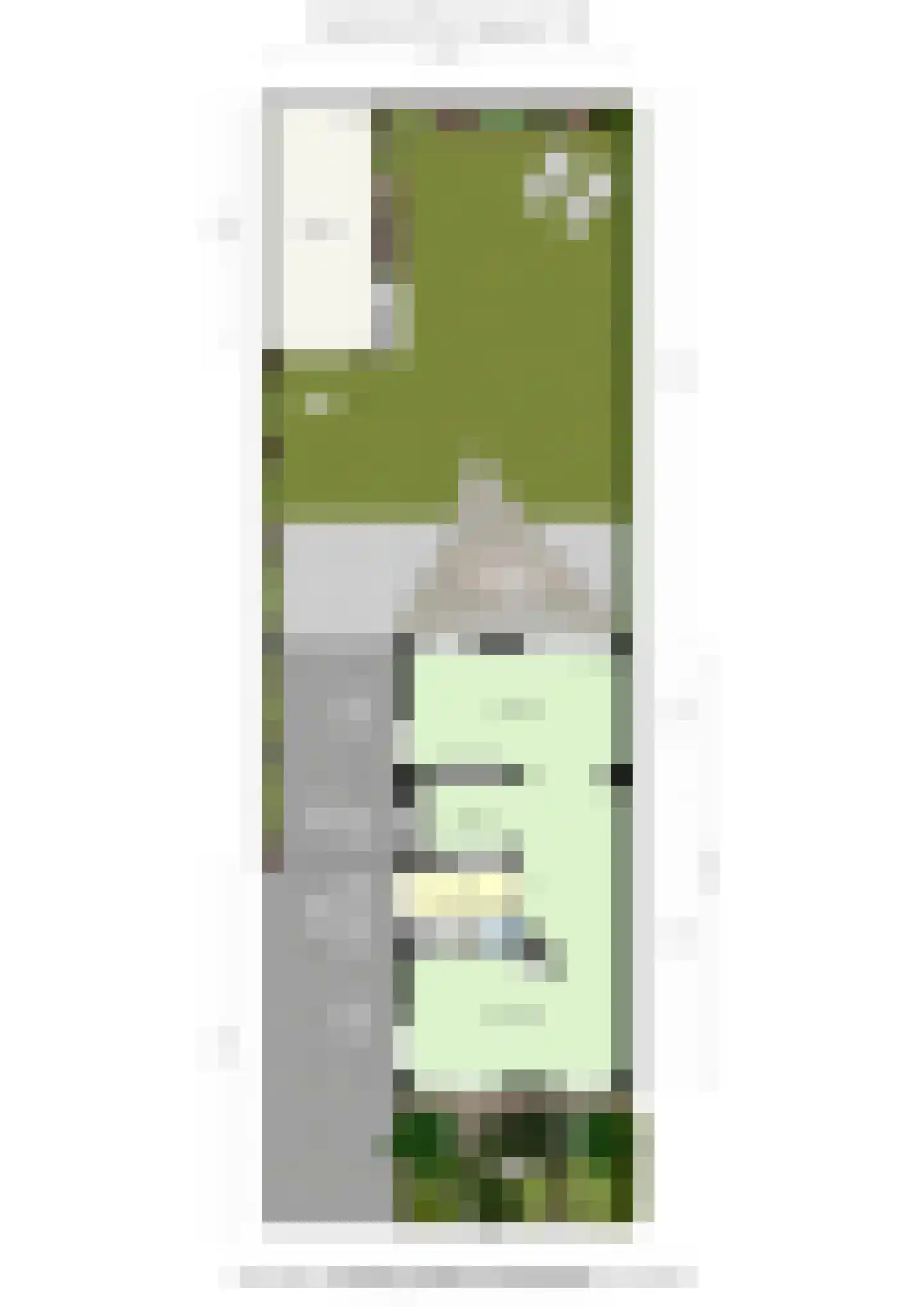 Brederodestraat 1 Elsloo thumbnail 50