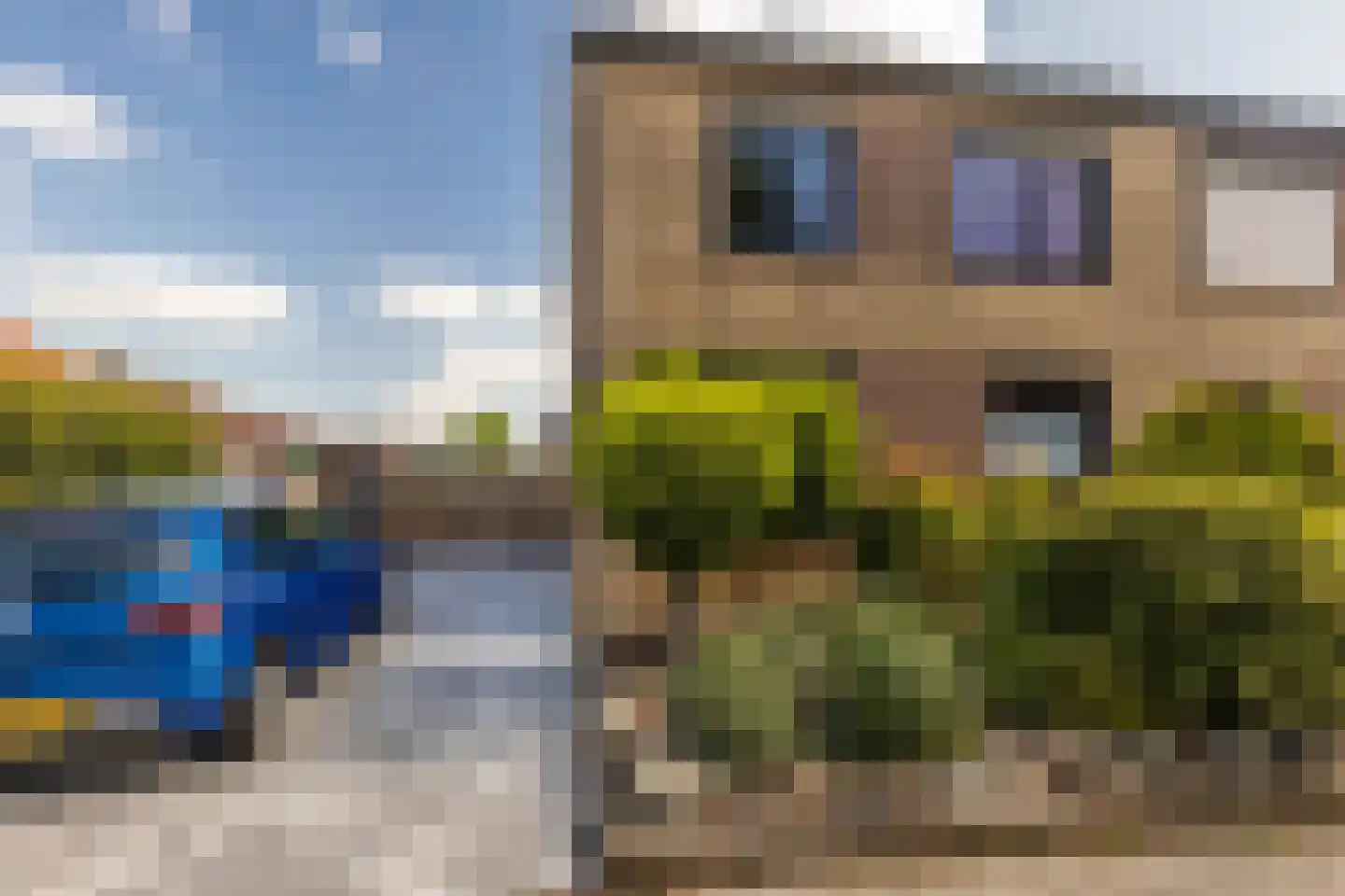 Brederodestraat 1 Elsloo thumbnail 8