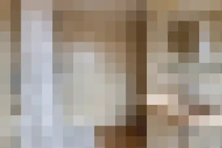 Brederodestraat 1 Stein thumbnail 22