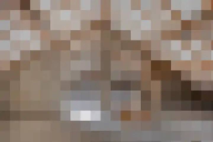 Brederodestraat 1 Stein thumbnail 25