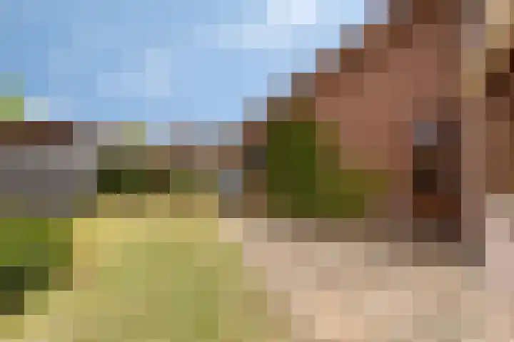 Brederodestraat 1 Stein thumbnail 30