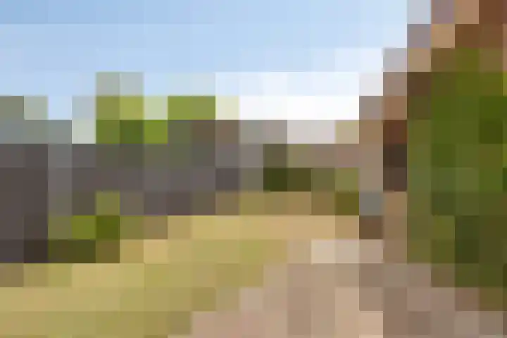 Brederodestraat 1 Stein thumbnail 31