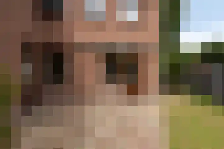 Brederodestraat 1 Stein thumbnail 33