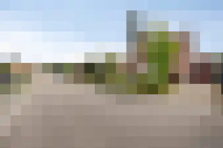Brederodestraat 1 Stein thumbnail 6