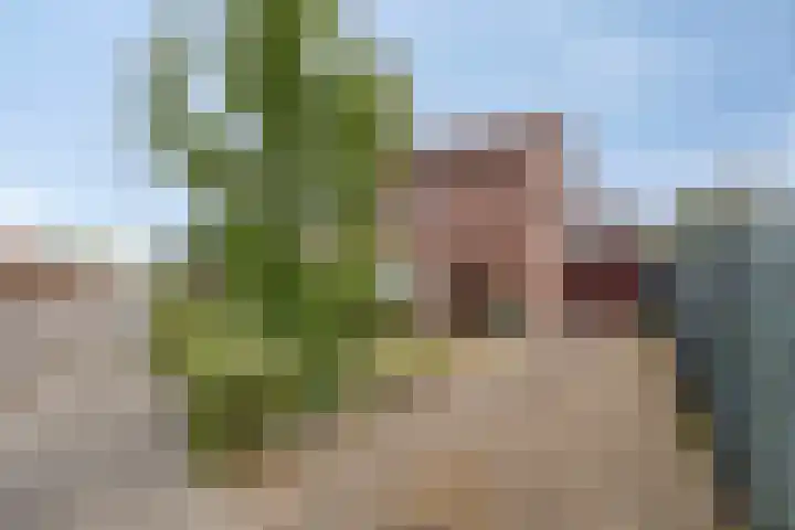 Brederodestraat 1 Stein thumbnail 8