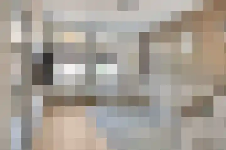 Brederodestraat 10 Kloetinge thumbnail 7