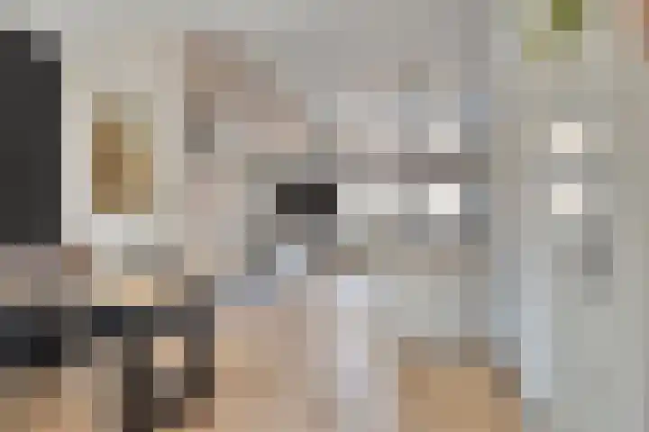 Brederodestraat 10 Kloetinge thumbnail 8