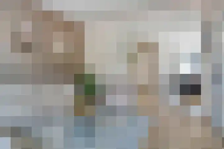 Brederodestraat 10 Kloetinge thumbnail 9