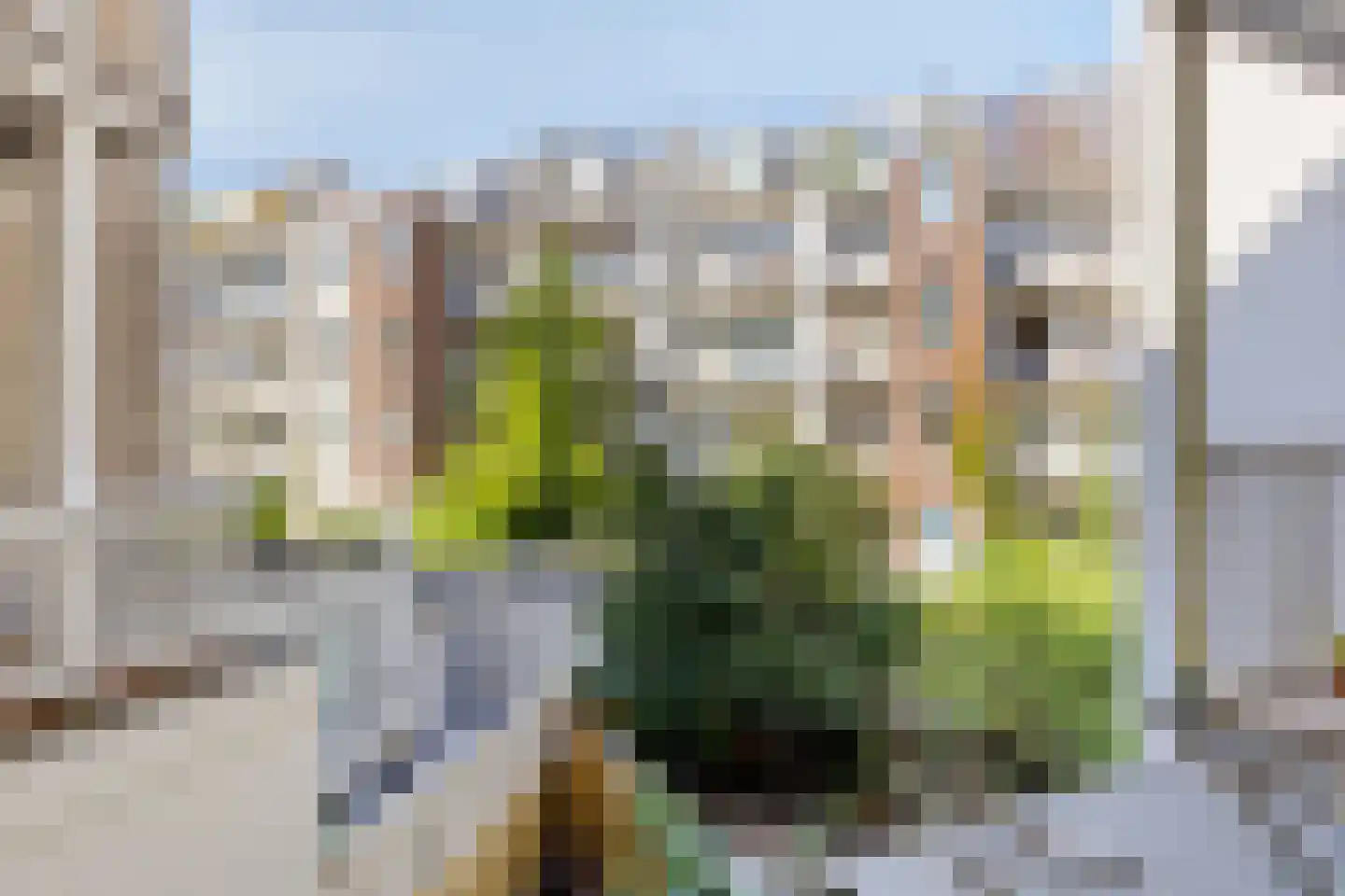 Brederodestraat 102 1 Amsterdam thumbnail 29