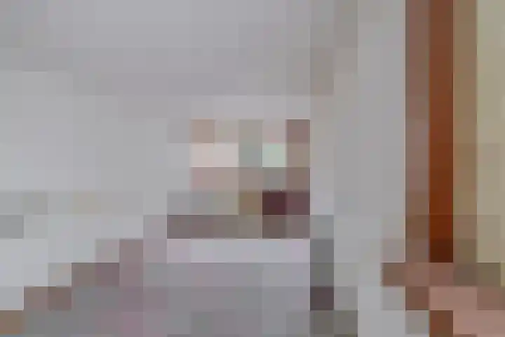 Brederodestraat 16 Assendelft thumbnail 31
