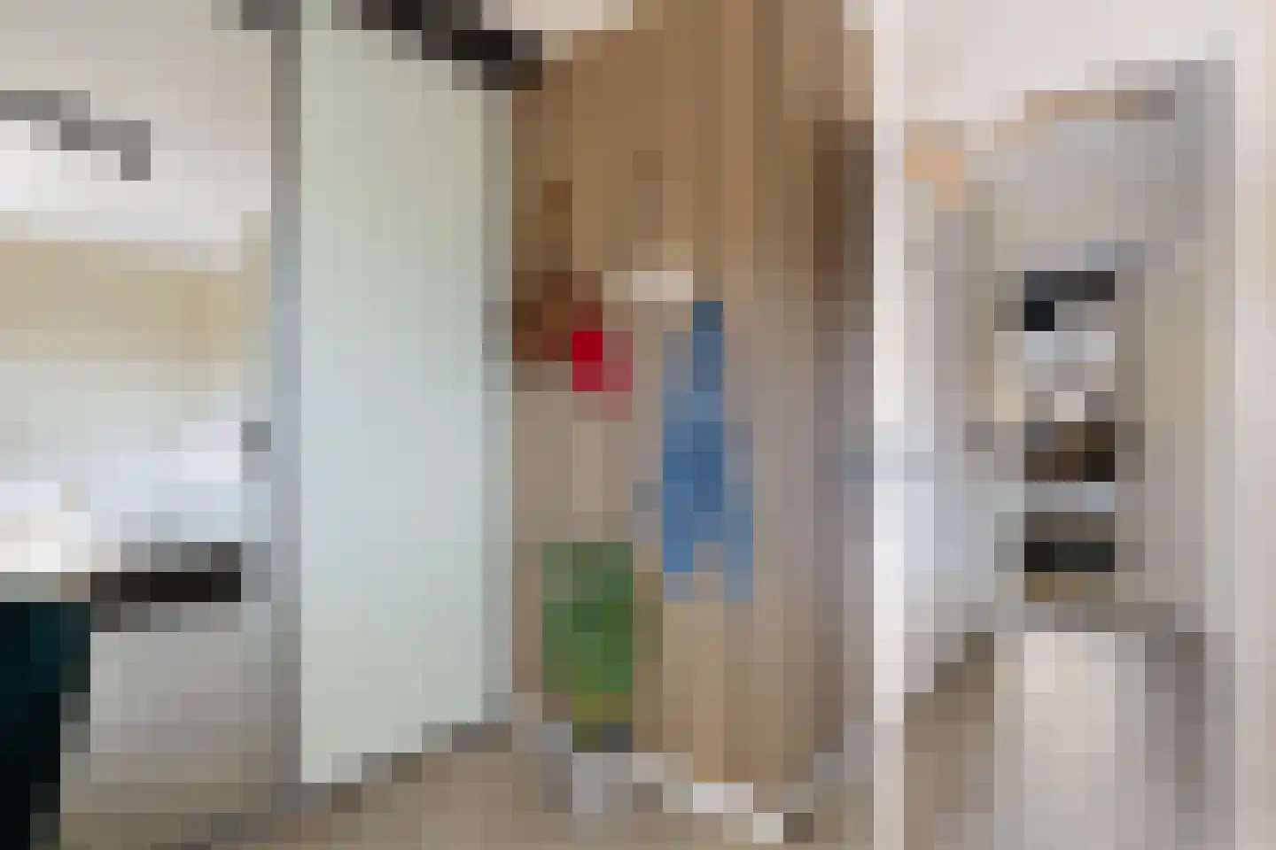 Brederodestraat 16 Bergschenhoek thumbnail 33