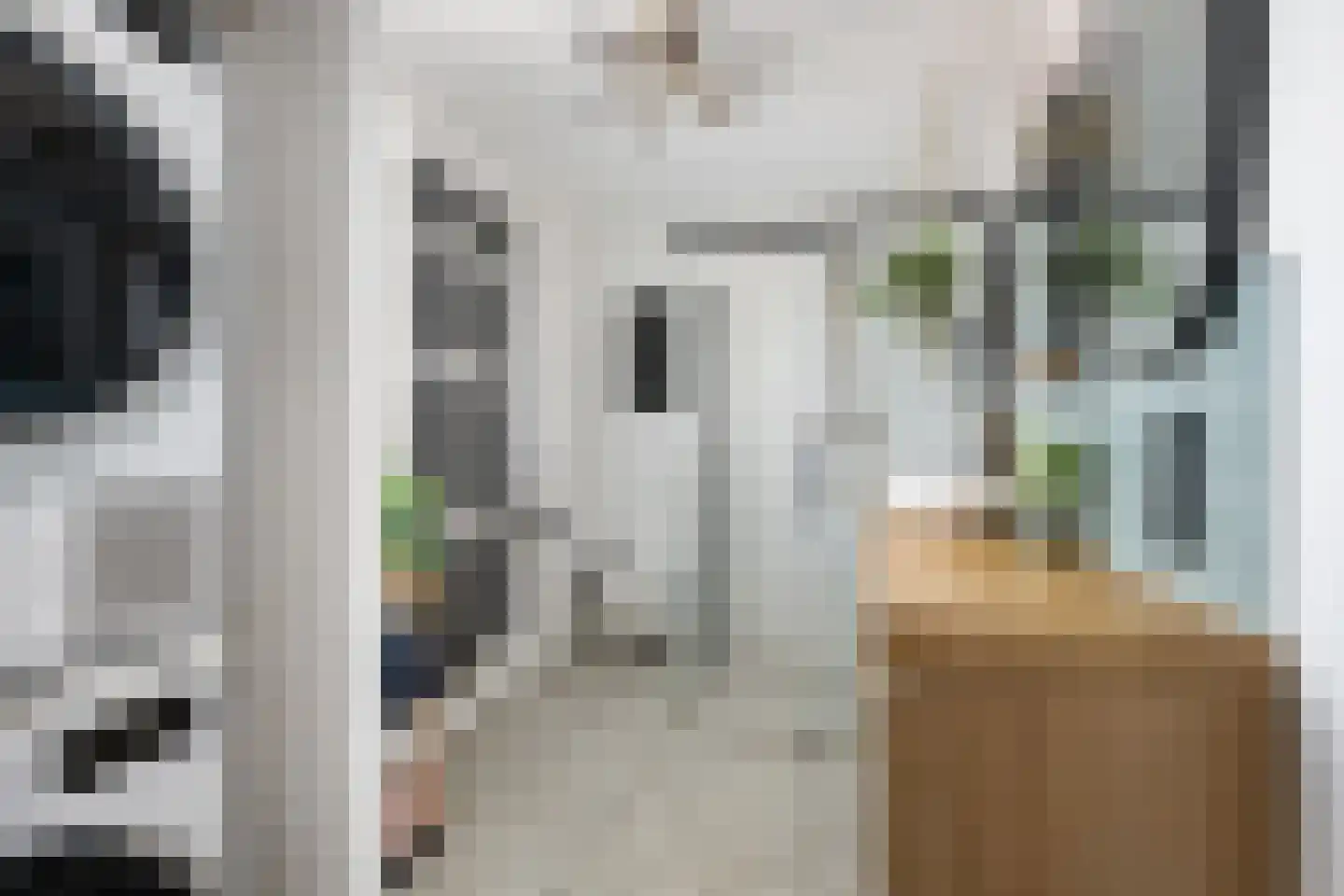 Brederodestraat 16 Bergschenhoek thumbnail 38