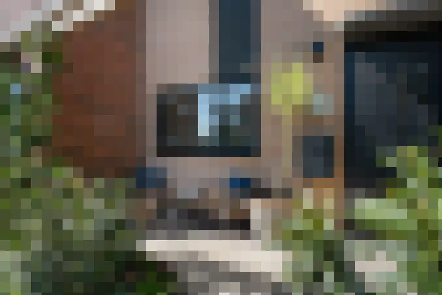 Brederodestraat 16 Bergschenhoek thumbnail 6