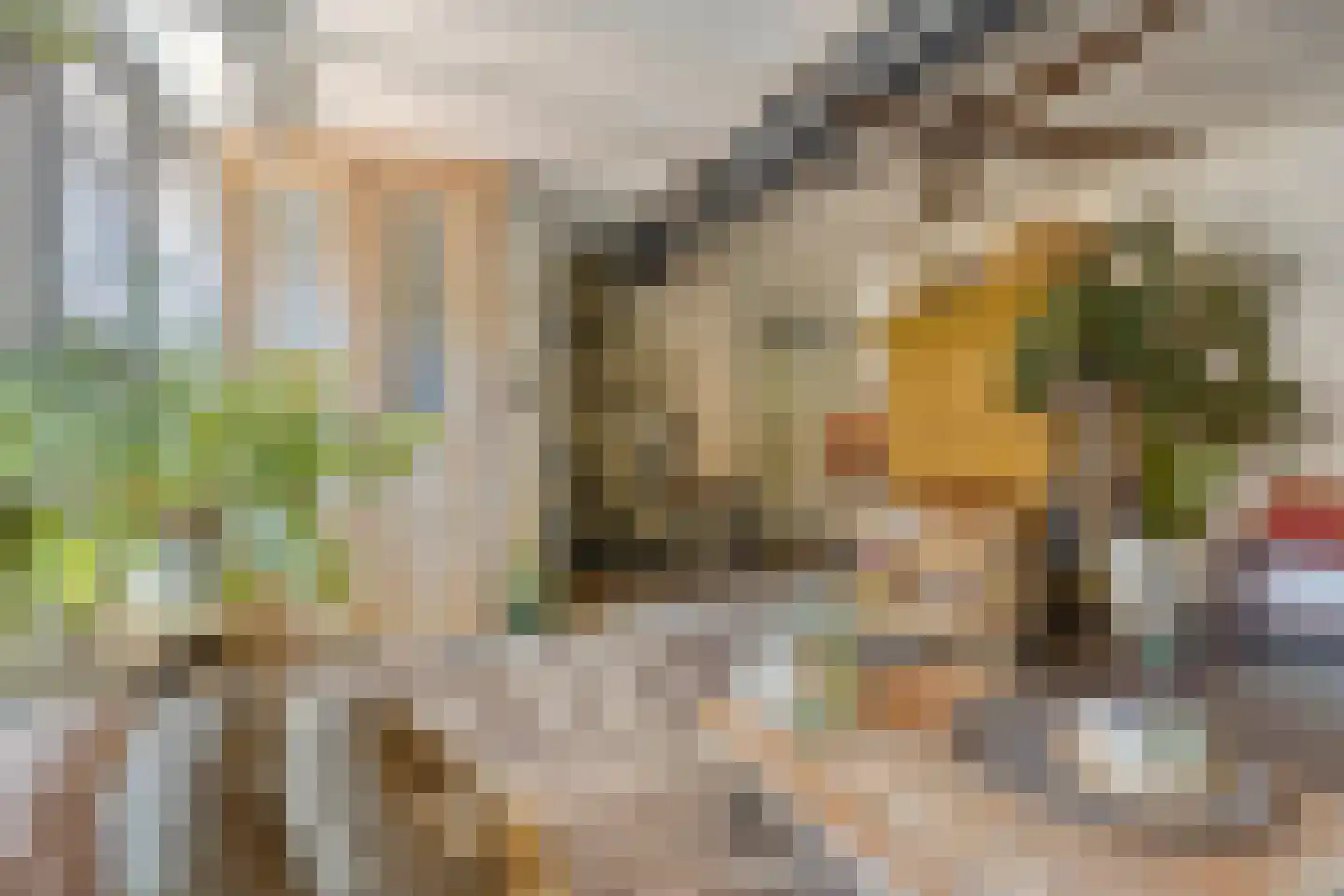 Brederodestraat 16 Kloetinge thumbnail 10