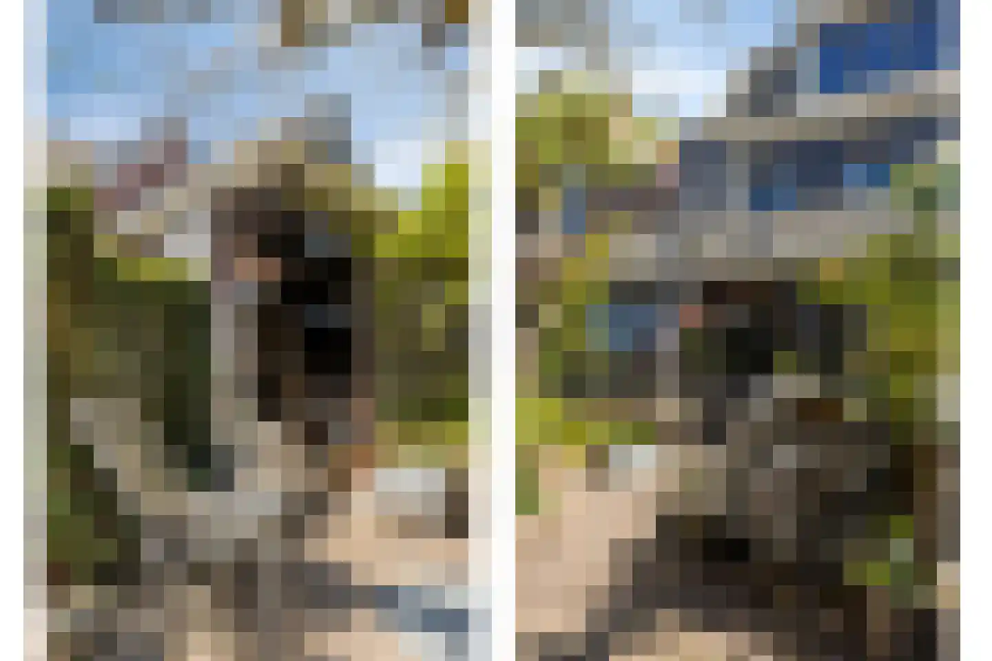 Brederodestraat 16 Kloetinge thumbnail 50