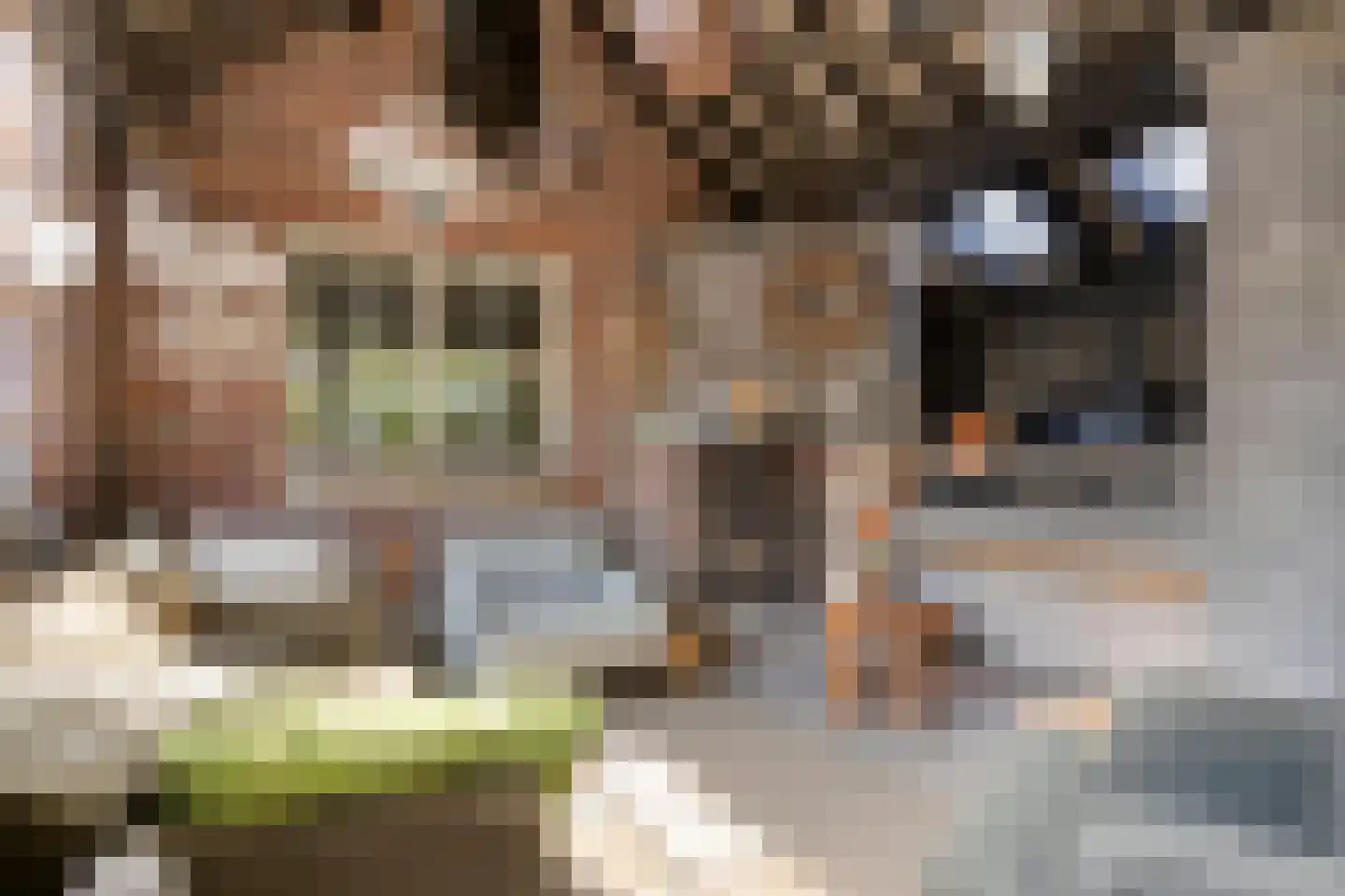 Brederodestraat 16 Kloetinge thumbnail 51