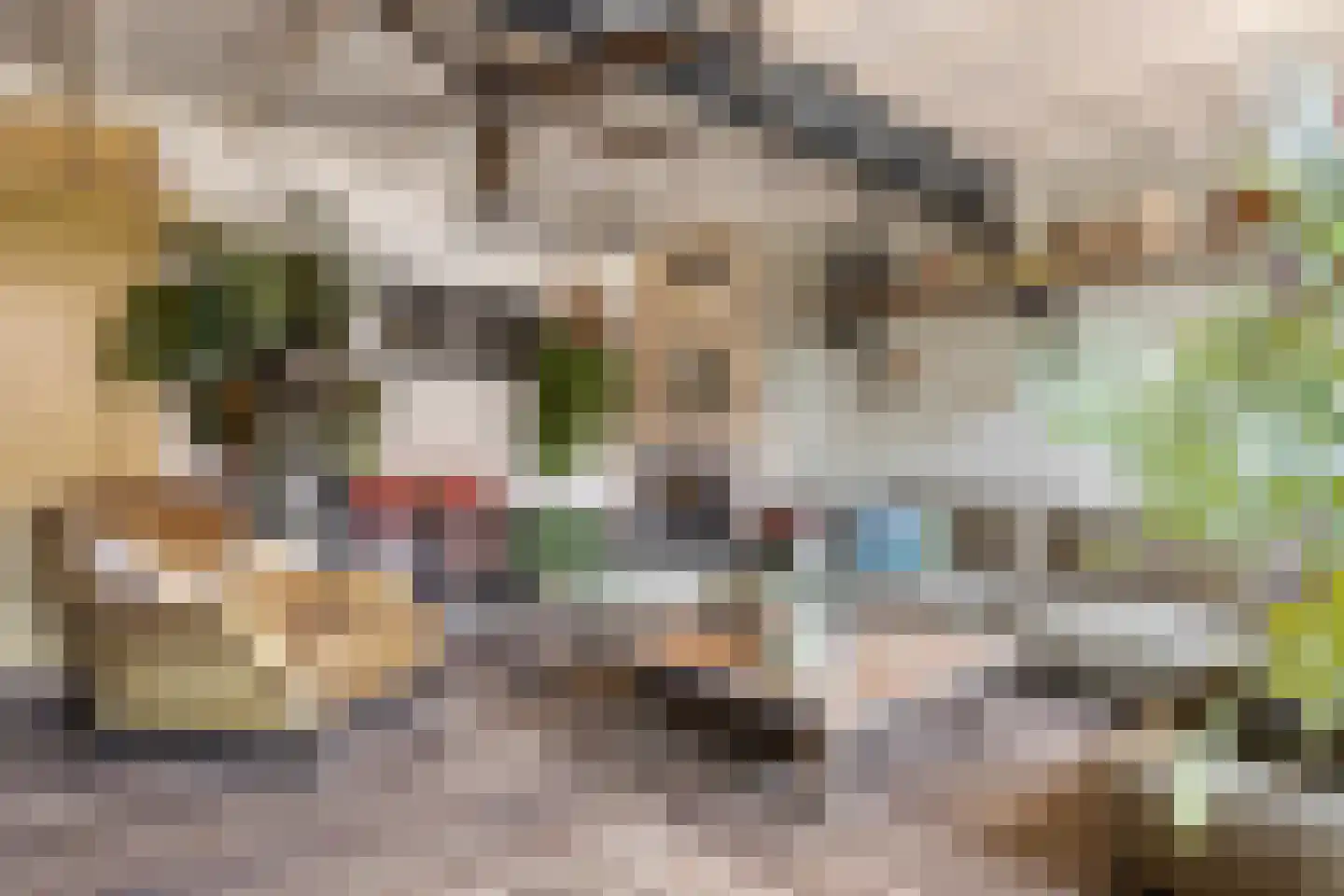Brederodestraat 16 Kloetinge thumbnail 7