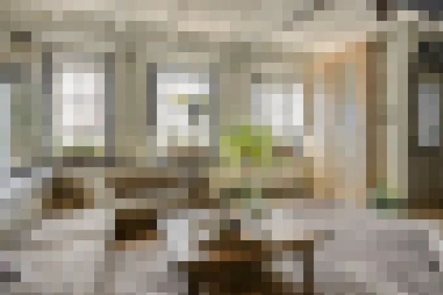 Brederodestraat 16 Kloetinge thumbnail 9