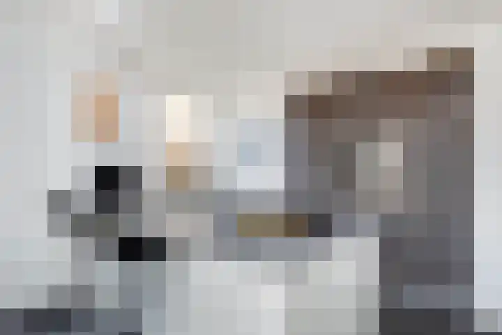 Brederodestraat 19 Elsloo thumbnail 21