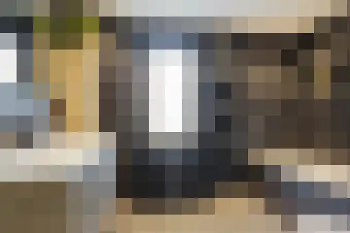 Brederodestraat 19 Elsloo thumbnail 27