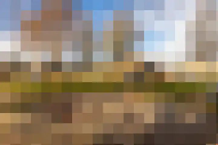 Brederodestraat 19 Elsloo thumbnail 36