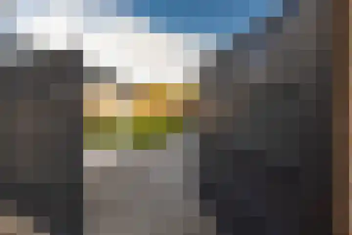 Brederodestraat 19 Elsloo thumbnail 37