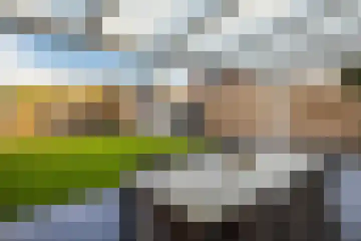Brederodestraat 19 Elsloo thumbnail 4