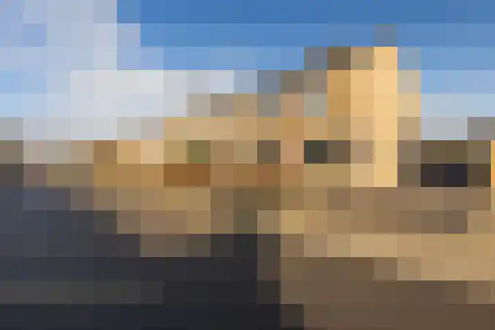 Brederodestraat 19 Elsloo thumbnail 7