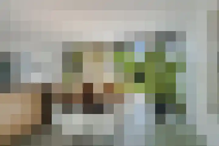 Brederodestraat 22 Castricum thumbnail 22