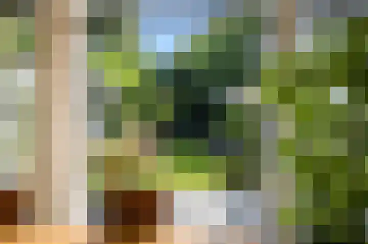 Brederodestraat 22 Castricum thumbnail 23
