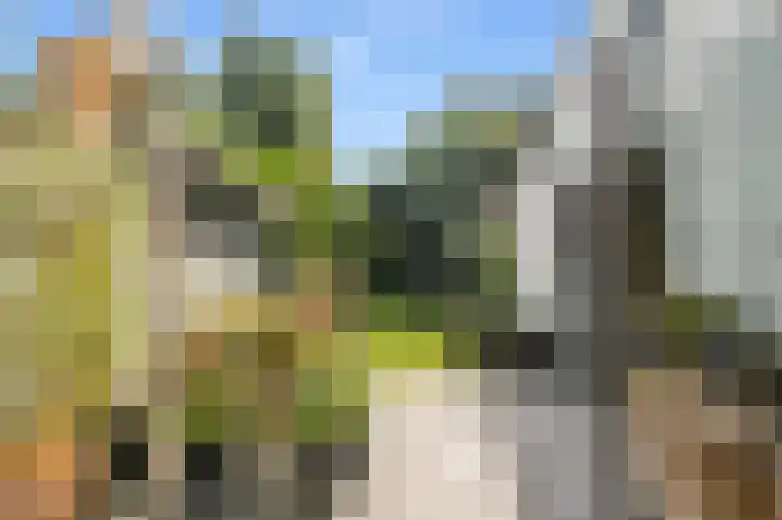 Brederodestraat 22 Castricum thumbnail 24