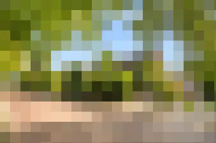 Brederodestraat 22 Castricum thumbnail 5