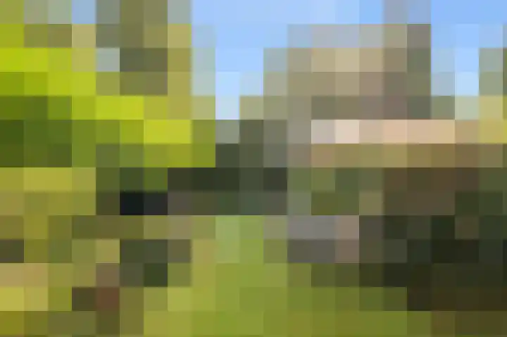 Brederodestraat 22 Castricum thumbnail 55