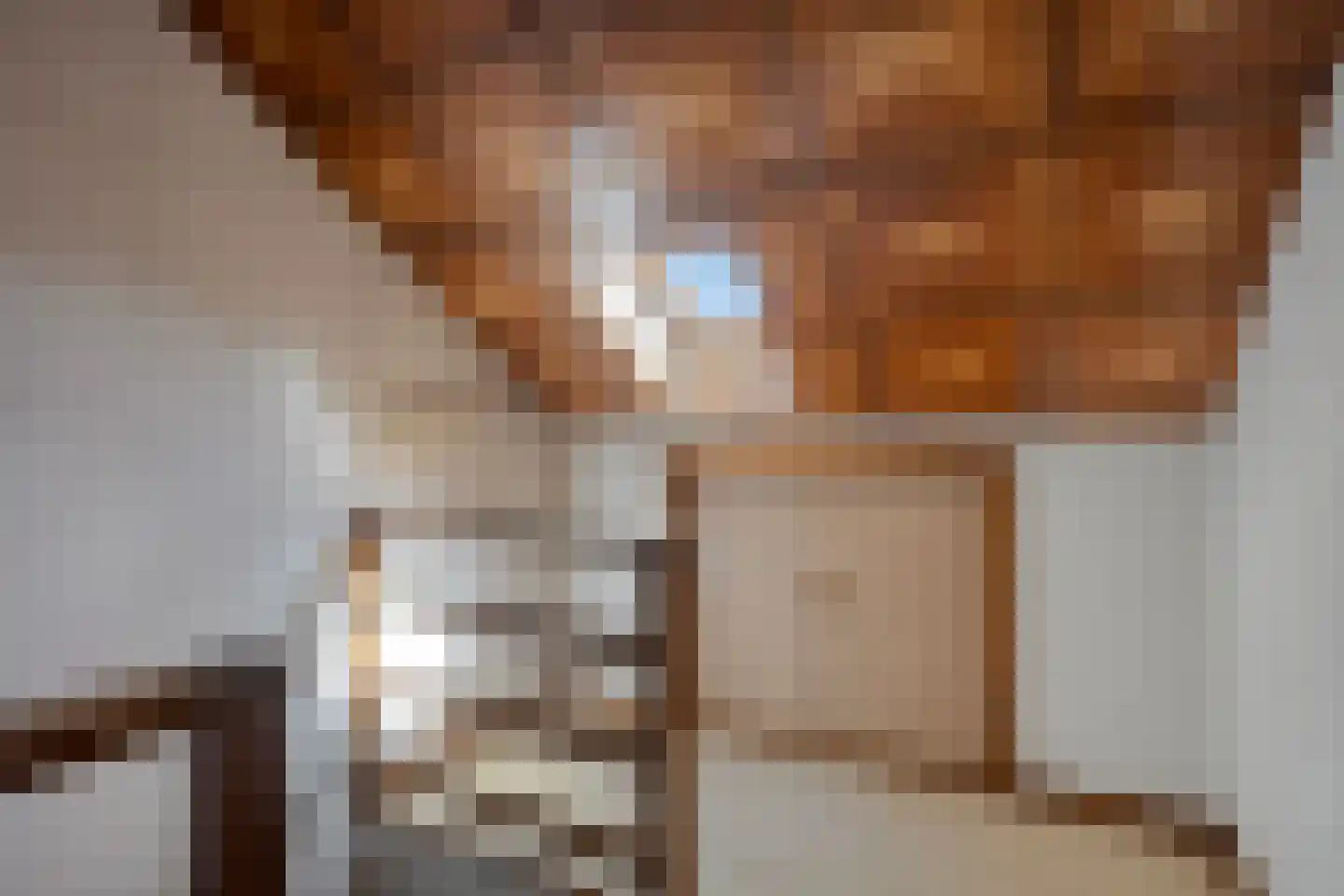 Brederodestraat 24 Assendelft thumbnail 26