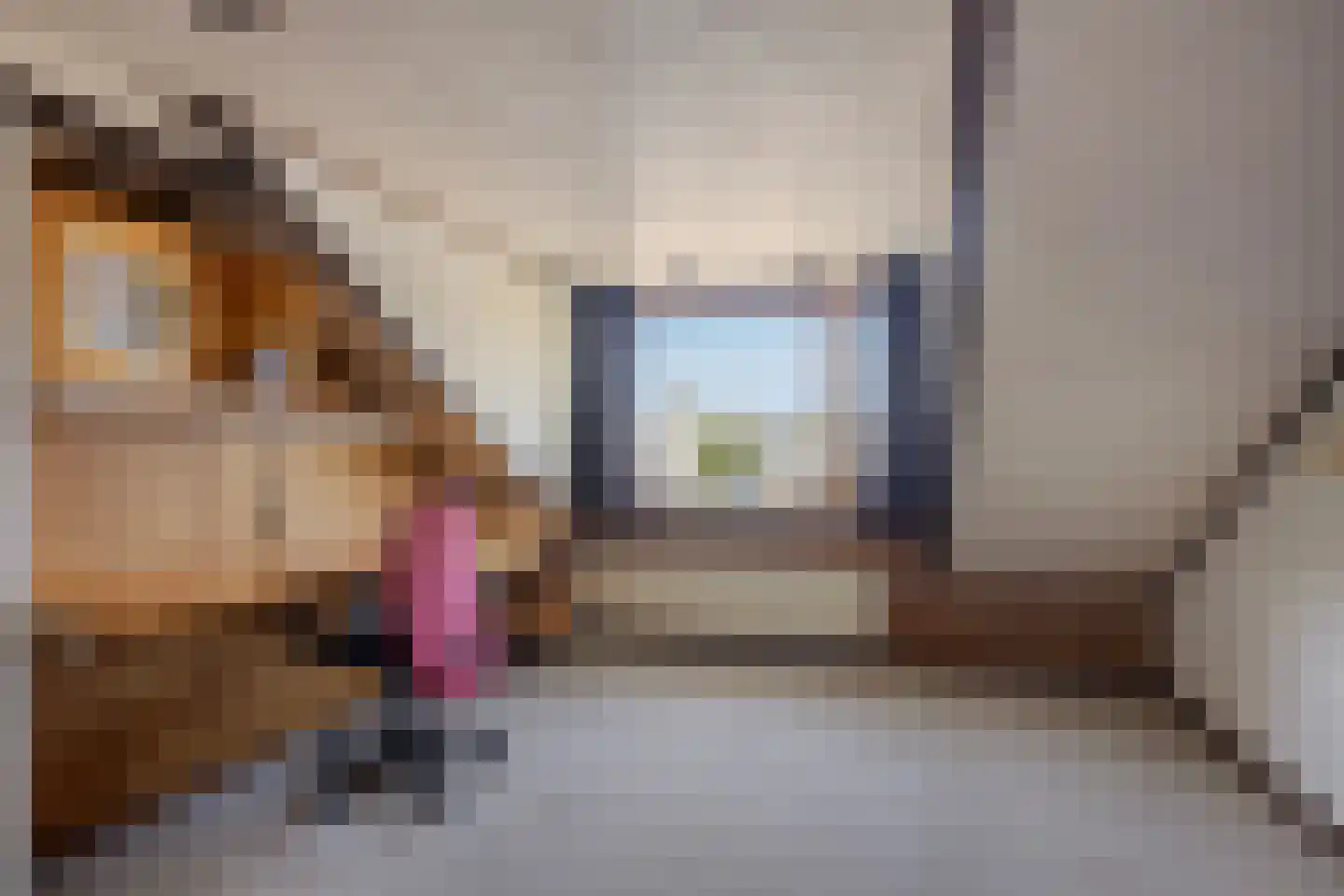 Brederodestraat 24 Assendelft thumbnail 27