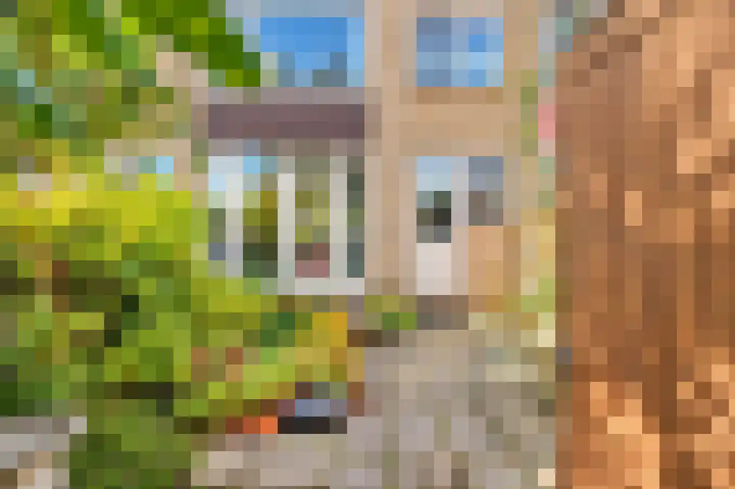 Brederodestraat 24 Ridderkerk thumbnail 28