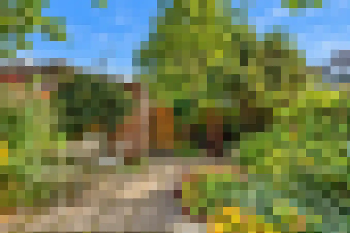Brederodestraat 24 Ridderkerk thumbnail 5