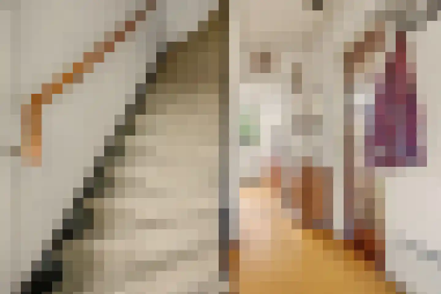 Brederodestraat 24 Ridderkerk thumbnail 8