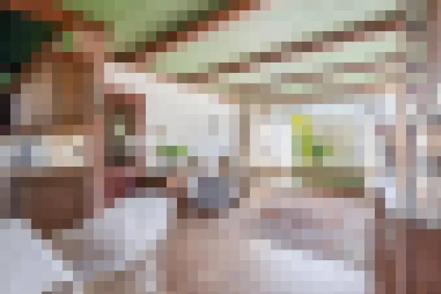 Brederodestraat 26 Assendelft thumbnail 14