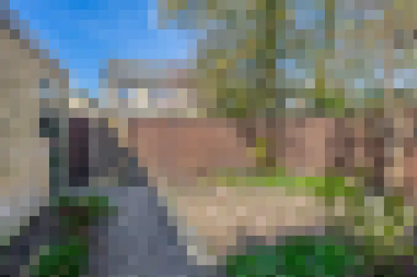 Brederodestraat 26 Assendelft thumbnail 37